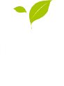 Novameat